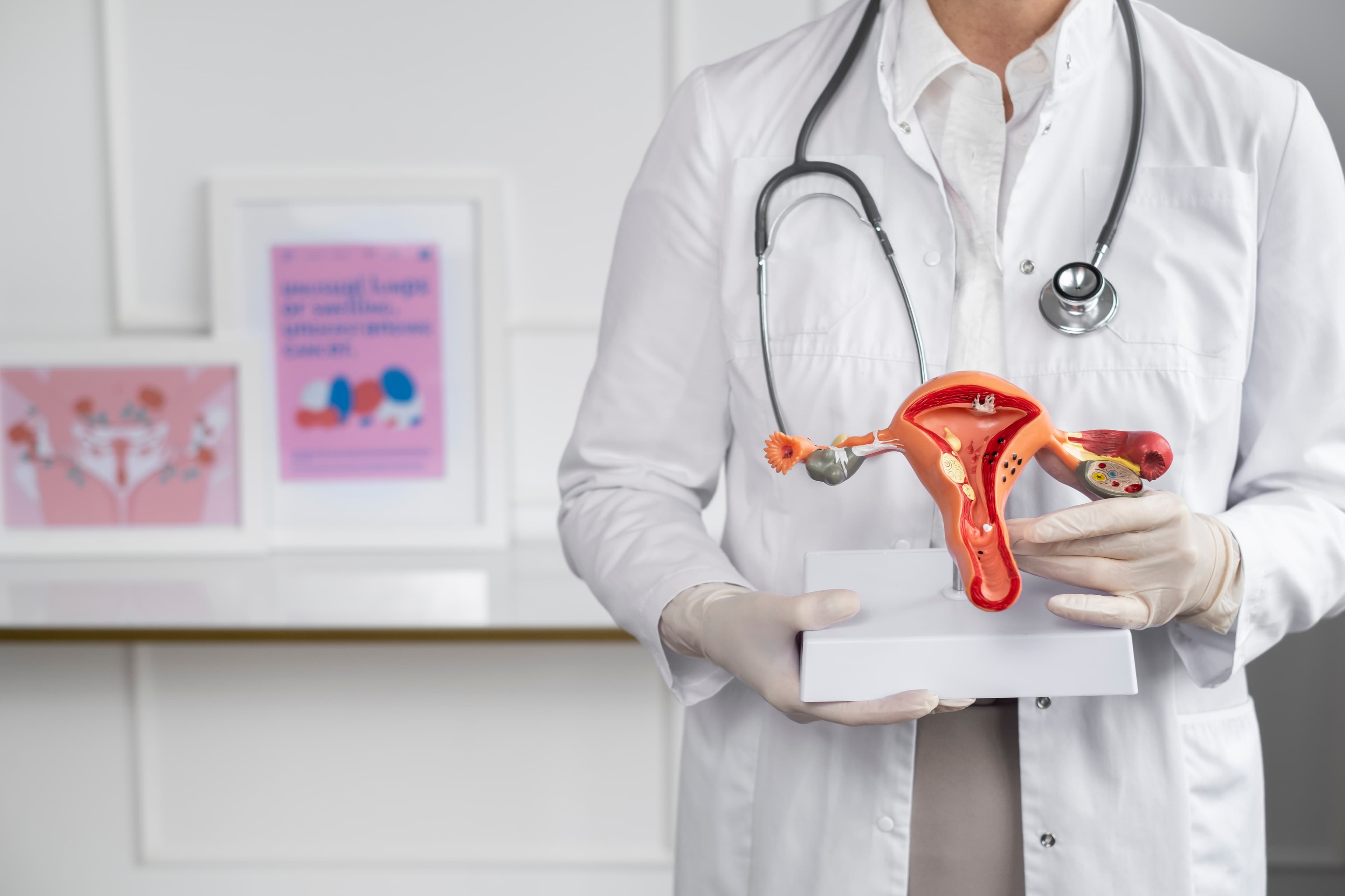 Cosmetic Gynaecology