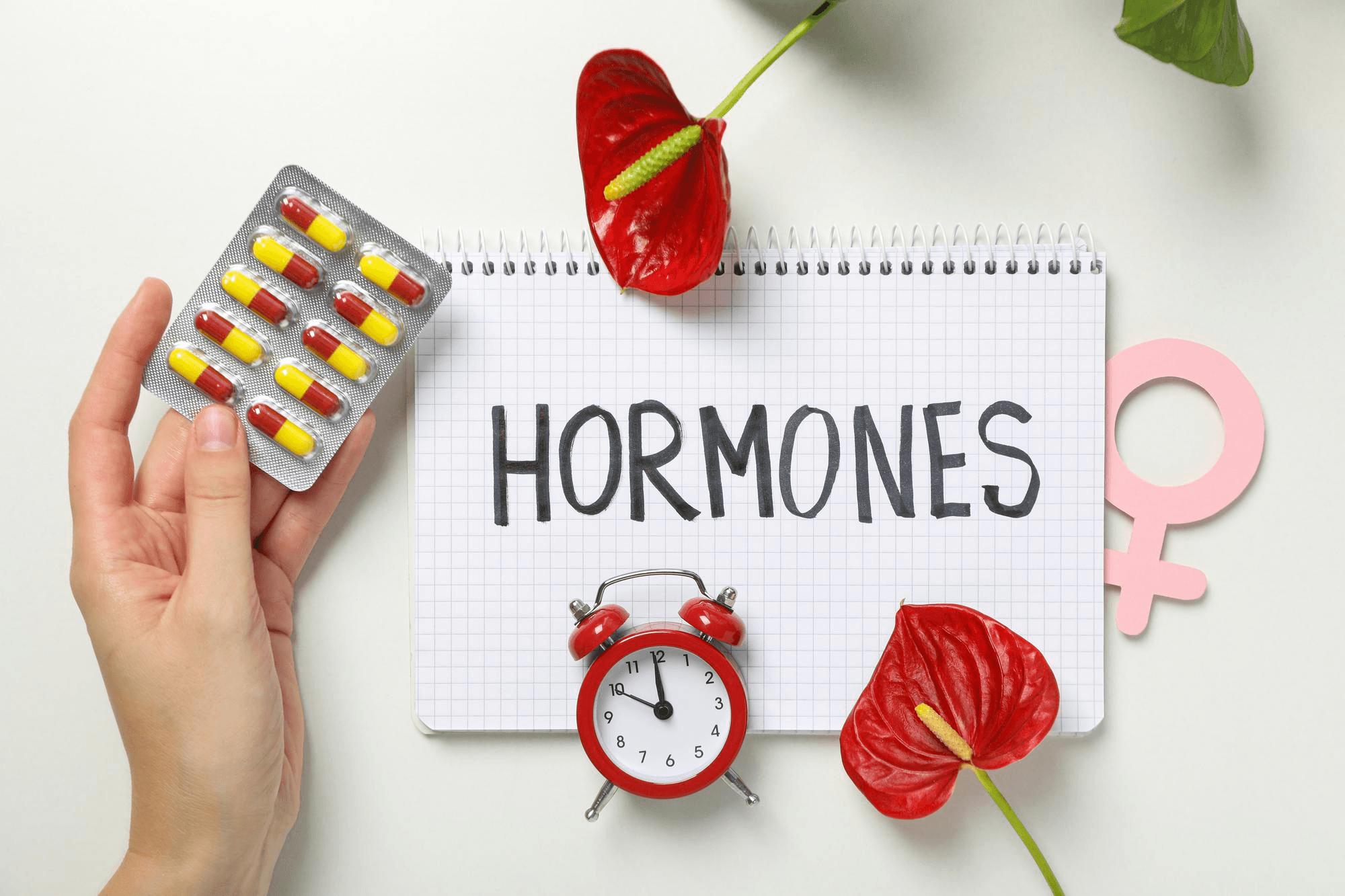 Alcohol and Women's Hormones: What Regular Drinking Does to Your Hormonal Health